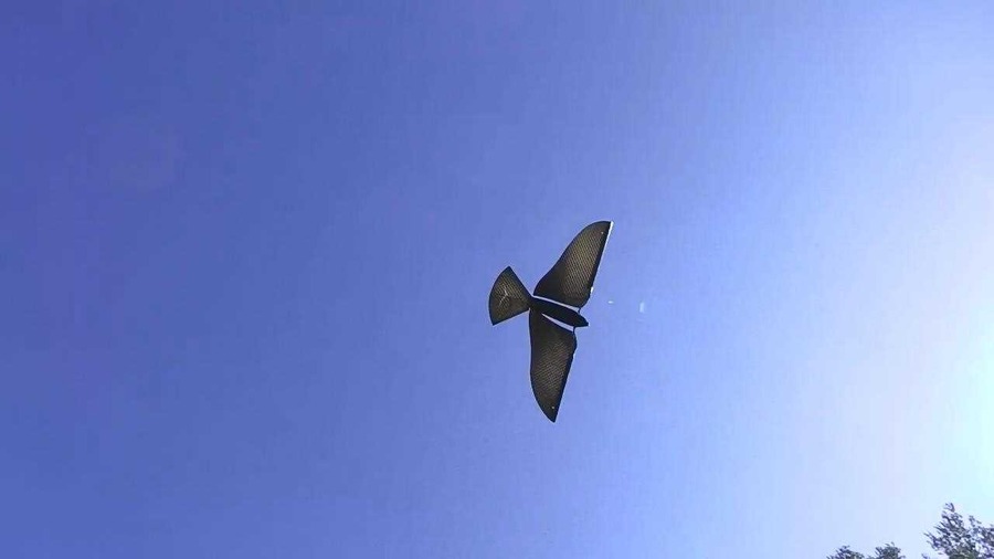 「まるで本物の鳥！」100円玉2枚分の超軽量の鳥型ドローン「MetaBird」 バイオミティクス技術で羽根の動きをリアルに再現