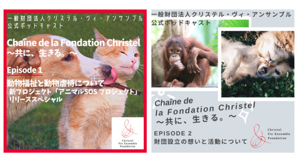 Amazonオーディブル 保護犬・猫に関する取り組みを配信開始 マイノリティやSDGsの活動を音声で支援する「Voice of Change」を発表