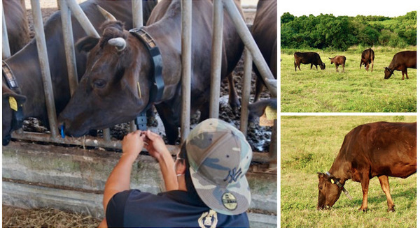 <p>シェア 0 ツイート 0 はてブ 0</p>