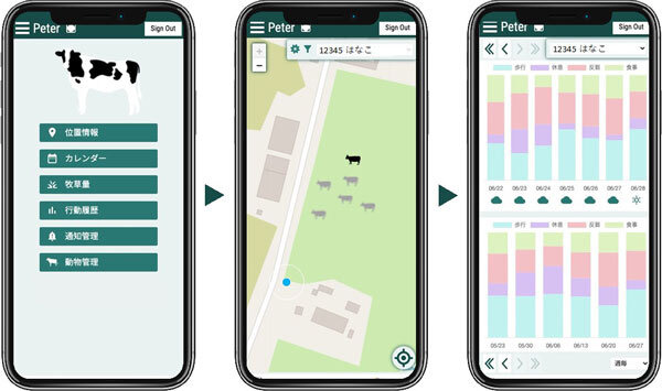 東工大/信州大/ソニーらがエッジAIとLPWA技術で「放牧牛AIモニタリング」実証実験　牛の島「沖縄県竹富町黒島」