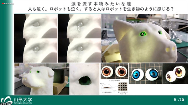 ロボットでストレスフリーな社会を　ユニバーサル未来社会推進協議会 ロボットショーケース