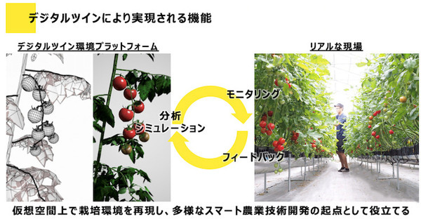 農作物の栽培環境を仮想空間上に完全再現 遠隔栽培指導、AI教師データ生成などのサービスを提供 Happy Qualityとフィトメトリクスが共同開発