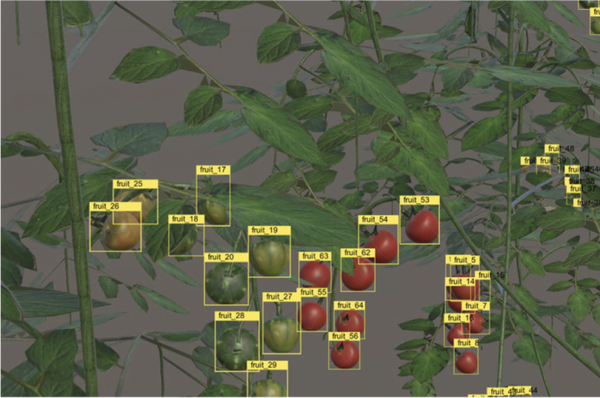 農作物の栽培環境を仮想空間上に完全再現 遠隔栽培指導、AI教師データ生成などのサービスを提供 Happy Qualityとフィトメトリクスが共同開発