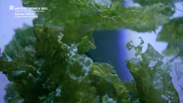 分身ロボットカフェ、VR演劇作品などが海外へ！世界約80都市を芸術・先端技術・文化で結ぶ「アルスエレクトロニカ・フェスティバル」開催へ