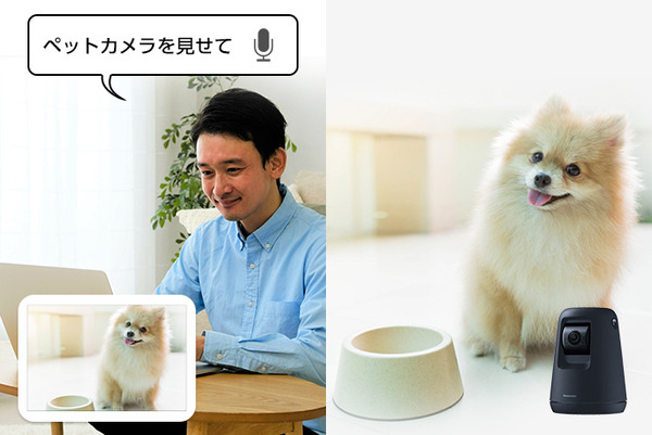 パナソニックの「HDペットカメラ」「ベビーカメラ」「屋内HDカメラ」がAlexaに対応　音声操作で温度確認やカメラ映像を画面表示