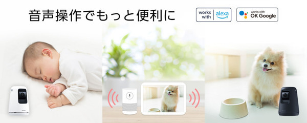 パナソニックの「HDペットカメラ」「ベビーカメラ」「屋内HDカメラ」がAlexaに対応　音声操作で温度確認やカメラ映像を画面表示