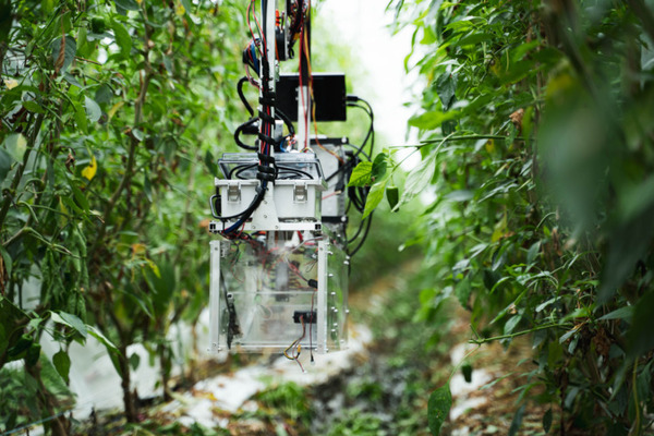 AGRISTがピーマン自動収穫ロボット「L」の予約を開始 試験場を兼ねた「アグリストファーム」も公開