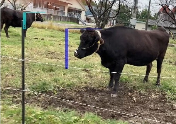 【香り×AI×IoT】IoTにおいセンサーに日本酒職人の嗅覚を搭載　日本酒と畜産をテーマに実証実験　においで生物資源の利活用を促進