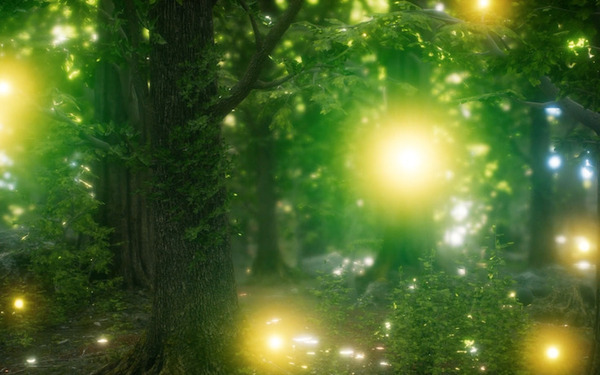 「ドローン×謎解き×ナイトハイク」ドローンショーを神秘的な森の中で楽しむ「The Mystical Star Walking」T2Rが発表