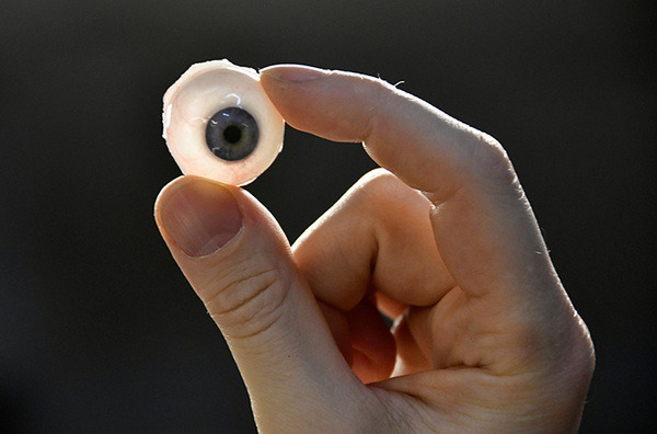 ロボットの視線は人間の脳に影響を与えるか? イタリアのIITが調査結果を発表