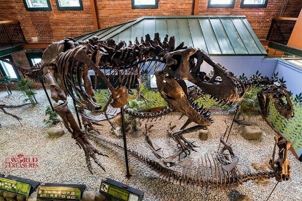 ティラノサウルスが名古屋市科学館に大集結！「ティラノサウルス展」恐竜ロボットの展示も　リラックマグッズ付前売券も販売