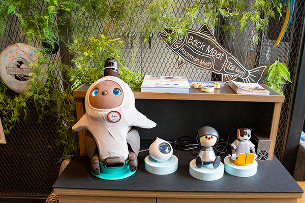 パートナーロボットが勢揃いしたカフェ「PARK+」渋谷にオープン　ロボホン/LOVOT/チャーリー/ロミィとの触れ合い体験レポート