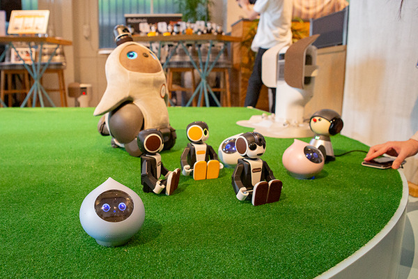 パートナーロボットが勢揃いしたカフェ「PARK+」渋谷にオープン　ロボホン/LOVOT/チャーリー/ロミィとの触れ合い体験レポート