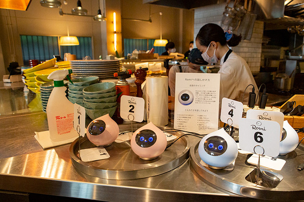 パートナーロボットが勢揃いしたカフェ「PARK+」渋谷にオープン　ロボホン/LOVOT/チャーリー/ロミィとの触れ合い体験レポート