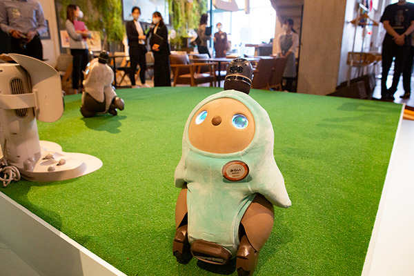 パートナーロボットが勢揃いしたカフェ「PARK+」渋谷にオープン　ロボホン/LOVOT/チャーリー/ロミィとの触れ合い体験レポート