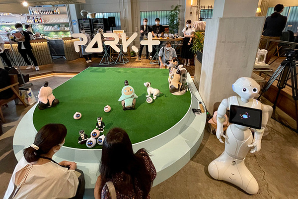 パートナーロボットが勢揃いしたカフェ「PARK+」渋谷にオープン　ロボホン/LOVOT/チャーリー/ロミィとの触れ合い体験レポート