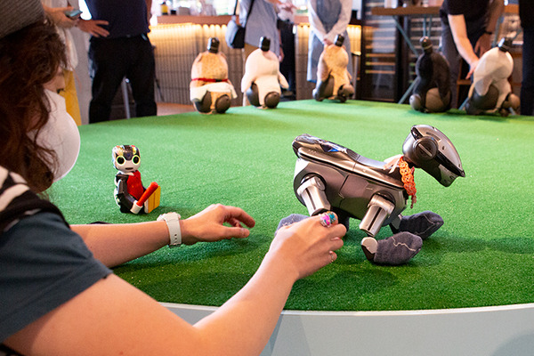 パートナーロボットが勢揃いしたカフェ「PARK+」渋谷にオープン　ロボホン/LOVOT/チャーリー/ロミィとの触れ合い体験レポート