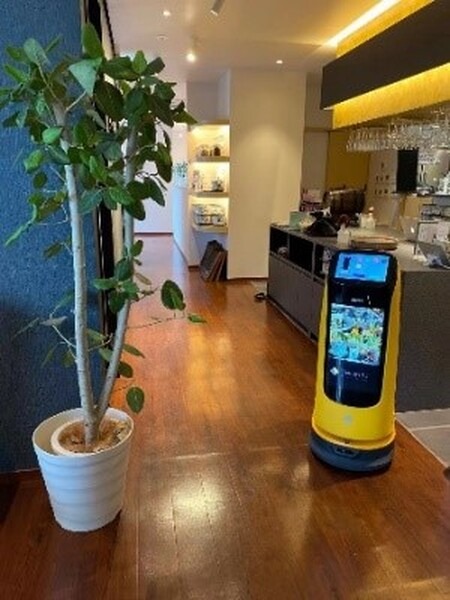 シャングリラ シークレット表参道店 配膳・受付ロボット「KettyBot」を本格導入へ 20日の実証実験で好結果