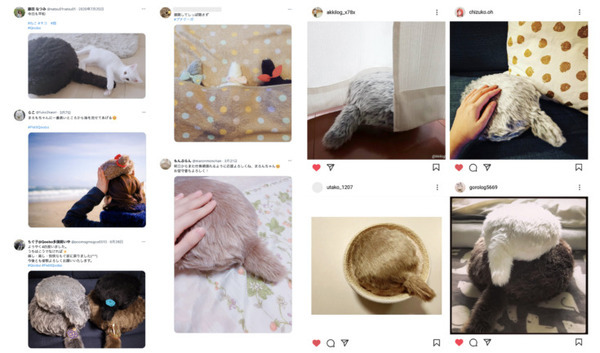 「Qoobo」シリーズの累計販売数が3万匹を突破！撫でるとしっぽを振って応えてくれるしっぽロボット 自宅の癒やし時間に一役