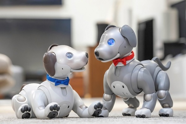 「aibo」購入者にオリジナル蝶ネクタイ2色セットをプレゼント『aiboとお家で過ごそうキャンペーン 』ソニーストアで実施