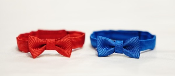 「aibo」購入者にオリジナル蝶ネクタイ2色セットをプレゼント『aiboとお家で過ごそうキャンペーン 』ソニーストアで実施