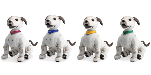 ROBO-UNIが「aiboネーム首輪」を発表　最大6文字のオリジナルネームが印字できるaibo公式ライセンス製品