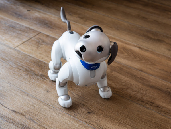 ROBO-UNIが「aiboネーム首輪」を発表　最大6文字のオリジナルネームが印字できるaibo公式ライセンス製品