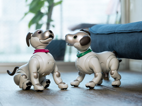 ROBO-UNIが「aiboネーム首輪」を発表　最大6文字のオリジナルネームが印字できるaibo公式ライセンス製品