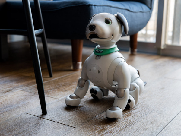 ROBO-UNIが「aiboネーム首輪」を発表　最大6文字のオリジナルネームが印字できるaibo公式ライセンス製品