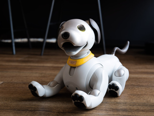 ROBO-UNIが「aiboネーム首輪」を発表　最大6文字のオリジナルネームが印字できるaibo公式ライセンス製品