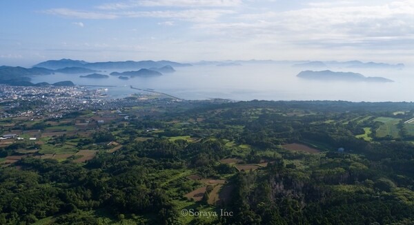 <p>シェア 0 ツイート 0 はてブ 0</p>