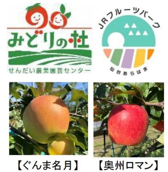 ロボット操作体験も！駅と地域が一体となった高輪ゲートウェイ駅イベント「Takanawa Gateway Fest 2021」11月3日より開催　