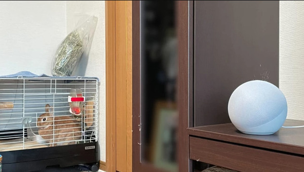 ペットとの生活にEcho ShowやFireタブレットなどAlexaデバイスを活用する方法　Amazonが社員3名の暮らしをブログで公開