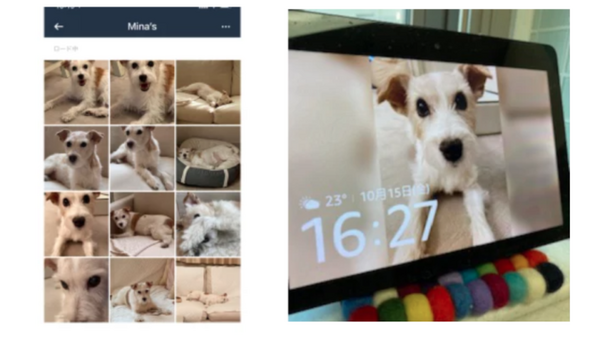 ペットとの生活にEcho ShowやFireタブレットなどAlexaデバイスを活用する方法　Amazonが社員3名の暮らしをブログで公開