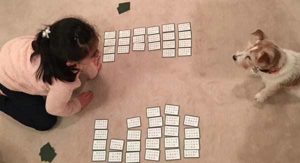 ペットとの生活にEcho ShowやFireタブレットなどAlexaデバイスを活用する方法　Amazonが社員3名の暮らしをブログで公開