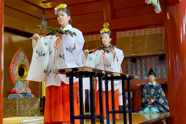 ソニー「アイボの七五三」を神田明神で開催　「二礼二拍手一礼」を覚えたaiboも公開、境内はオーナー達で賑わう