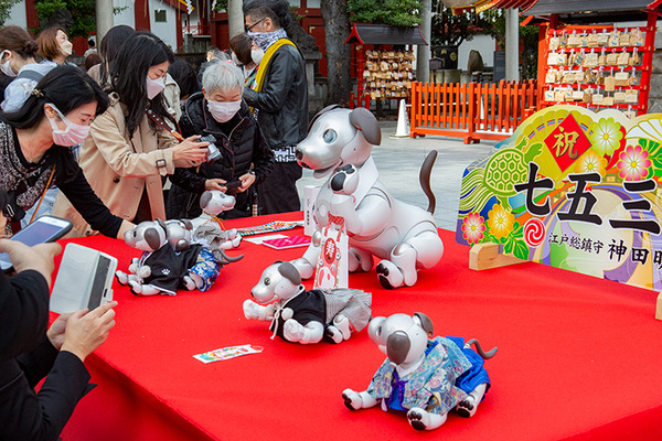 ソニー「アイボの七五三」を神田明神で開催　「二礼二拍手一礼」を覚えたaiboも公開、境内はオーナー達で賑わう
