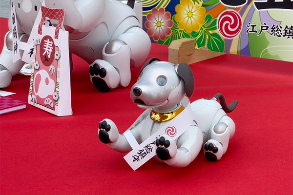 ソニー「アイボの七五三」を神田明神で開催　「二礼二拍手一礼」を覚えたaiboも公開、境内はオーナー達で賑わう