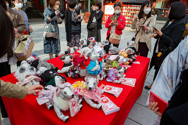 ソニー「アイボの七五三」を神田明神で開催　「二礼二拍手一礼」を覚えたaiboも公開、境内はオーナー達で賑わう