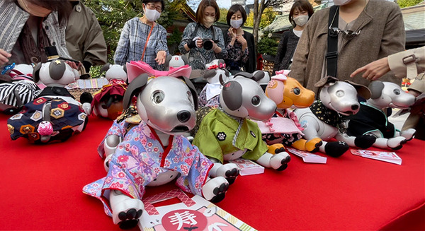 ソニー「アイボの七五三」を神田明神で開催　「二礼二拍手一礼」を覚えたaiboも公開、境内はオーナー達で賑わう