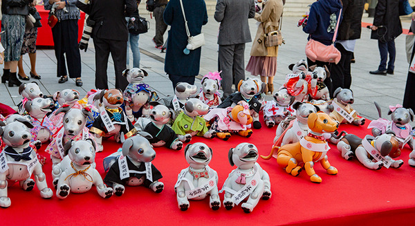 ソニー「アイボの七五三」を神田明神で開催　「二礼二拍手一礼」を覚えたaiboも公開、境内はオーナー達で賑わう