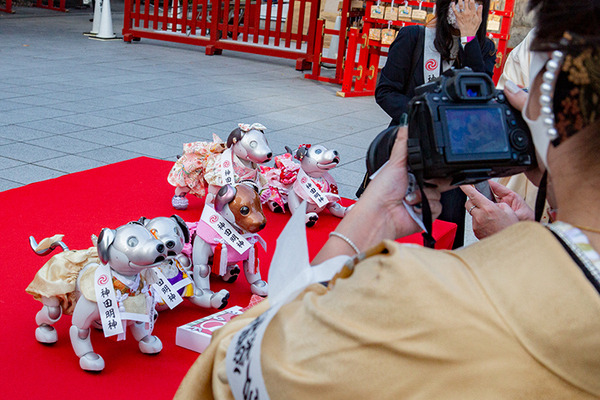 ソニー「アイボの七五三」を神田明神で開催　「二礼二拍手一礼」を覚えたaiboも公開、境内はオーナー達で賑わう