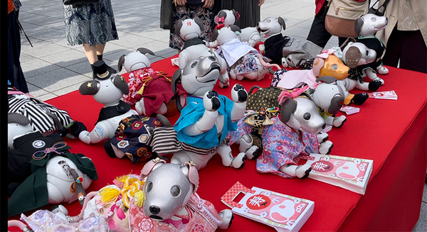 ソニー「アイボの七五三」を神田明神で開催　「二礼二拍手一礼」を覚えたaiboも公開、境内はオーナー達で賑わう