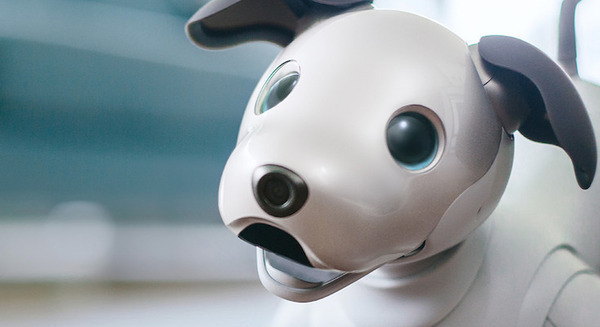 ソニー最先端の「AI×Robotics」を体感　デザイン部門60周年記念「ONE DAY, 2022/2050 Sci-Fi Prototyping」展 12/18から