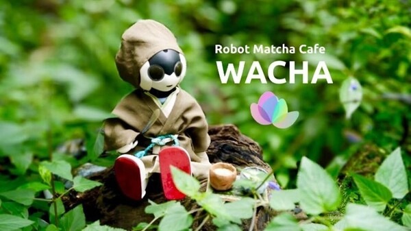 茶道ロボット「千のロビ」、茶道VRを用いたデモ体験「CES 2022」に出展 テーマは「ROBOT MATCHA CAFE」
