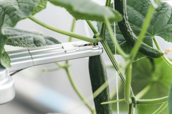 AGRISTがきゅうりの自動収穫ロボットを発表　ピーマン収穫にに次ぐ宮崎県発のスマート農業ロボット第2弾