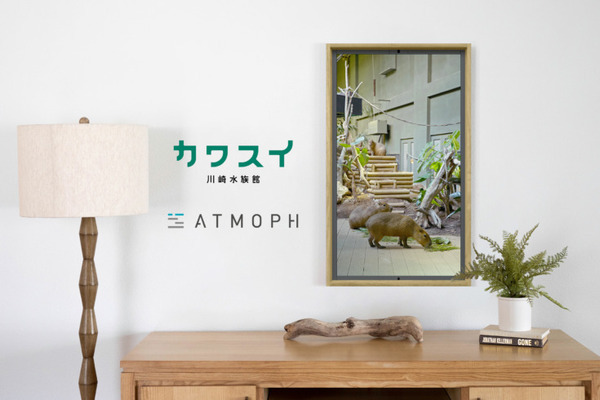 川崎水族館の館内風景「Atmoph Window 2」がリリース 淡水魚や古代魚ピラルク、カピバラが生活