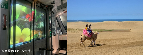 「鳥取砂丘」エリアで自動運転バスの実証実験へ　日本初の緑ナンバー「NAVYA ARMA」で運行、車窓には映像を演出投影