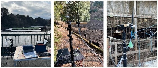 NTT東日本がWi-Fi HaLow「IEEE 802.11ah」でスマート畜産を推進　広域農場でAI動画像解析を行う4つのポイント