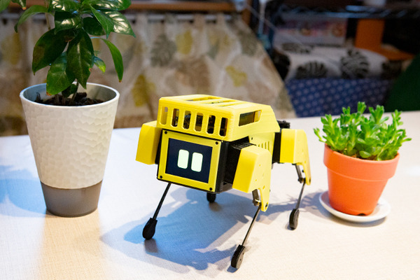 ロボット犬『Mini Pupper』(ミニぷぱ) レビュー　使ってわかった3つの楽しみ方　顔の変更、カメラの接続にも挑戦